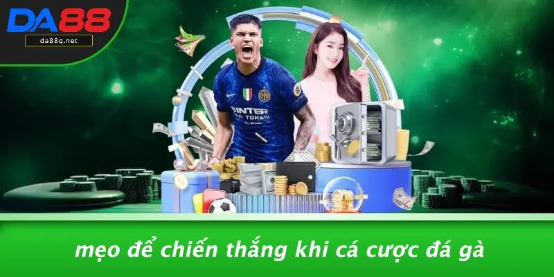 Mẹo Để Chiến Thắng Khi Cá Cược Đá Gà